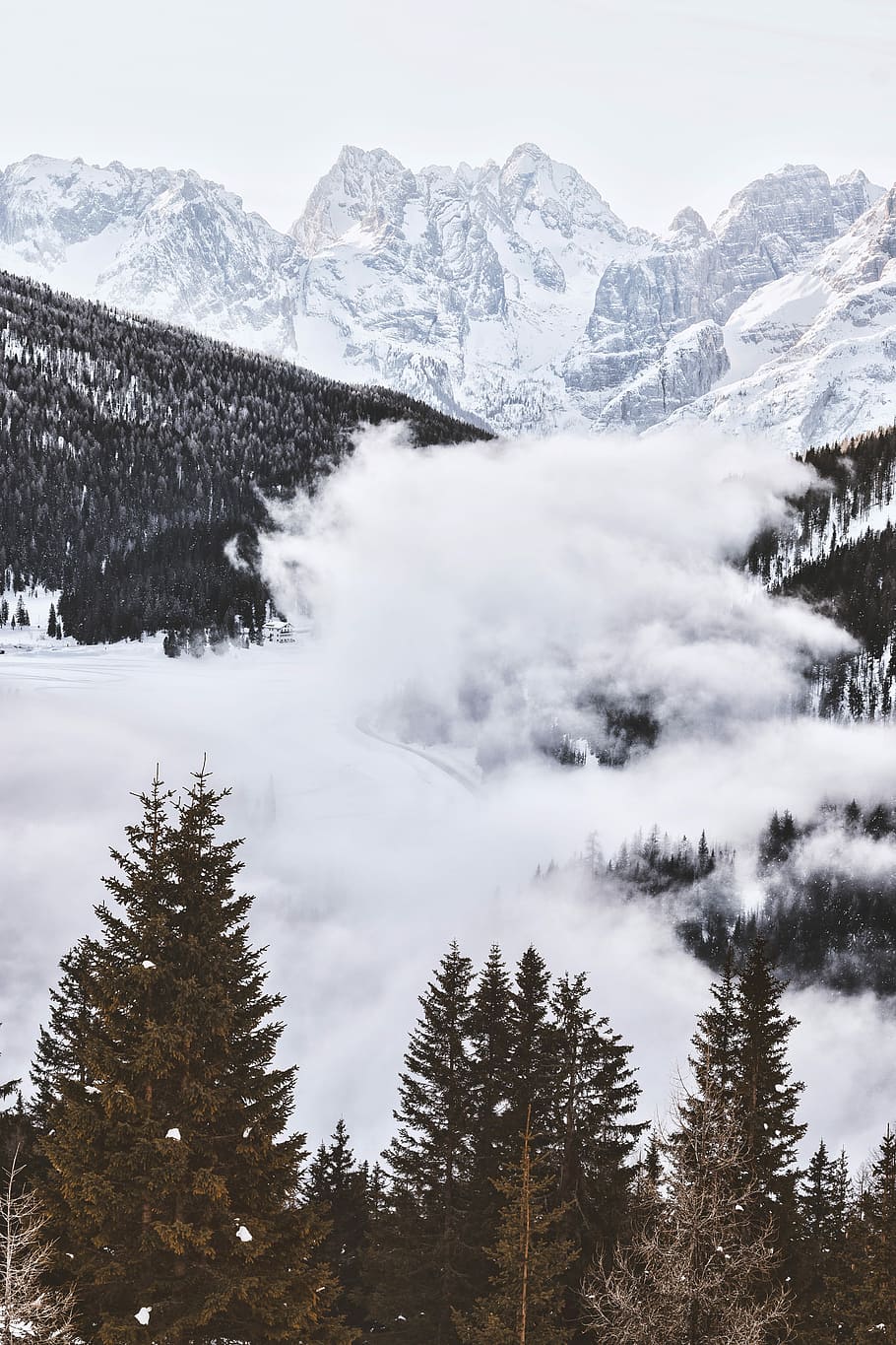 mountain covered with snow, fogs covering mountain, mountain range HD wallpaper