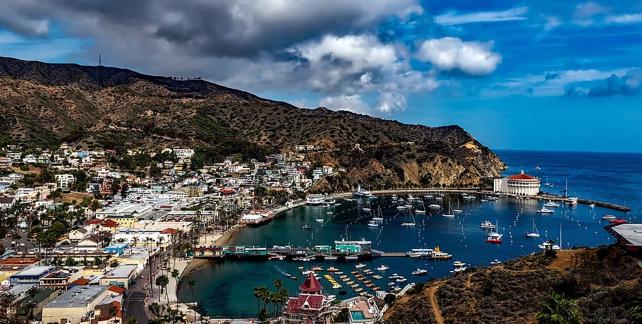 aerial photography of village near body of water, catalina island, HD wallpaper