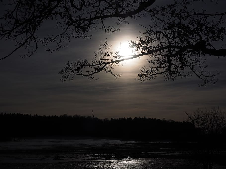 silhouette of trees near lake, moon, moonlight, full moon, ghostly HD wallpaper