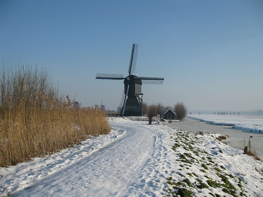 kinderdijk, holland, molina, winter landscape, snow, cold temperature, HD wallpaper