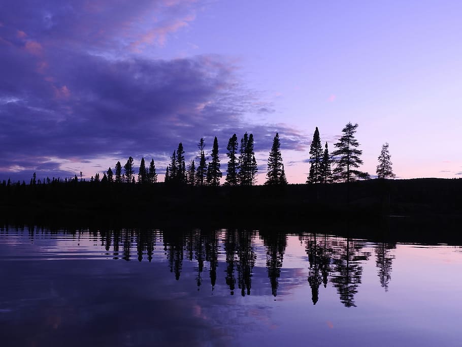beautiful  night on Daviault lake, silhouette of trees near body of water HD wallpaper