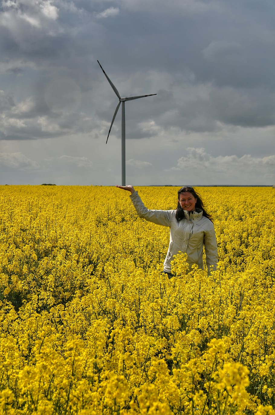 windmill, rapeseed, spring, energy, yellow, land, beauty in nature HD wallpaper