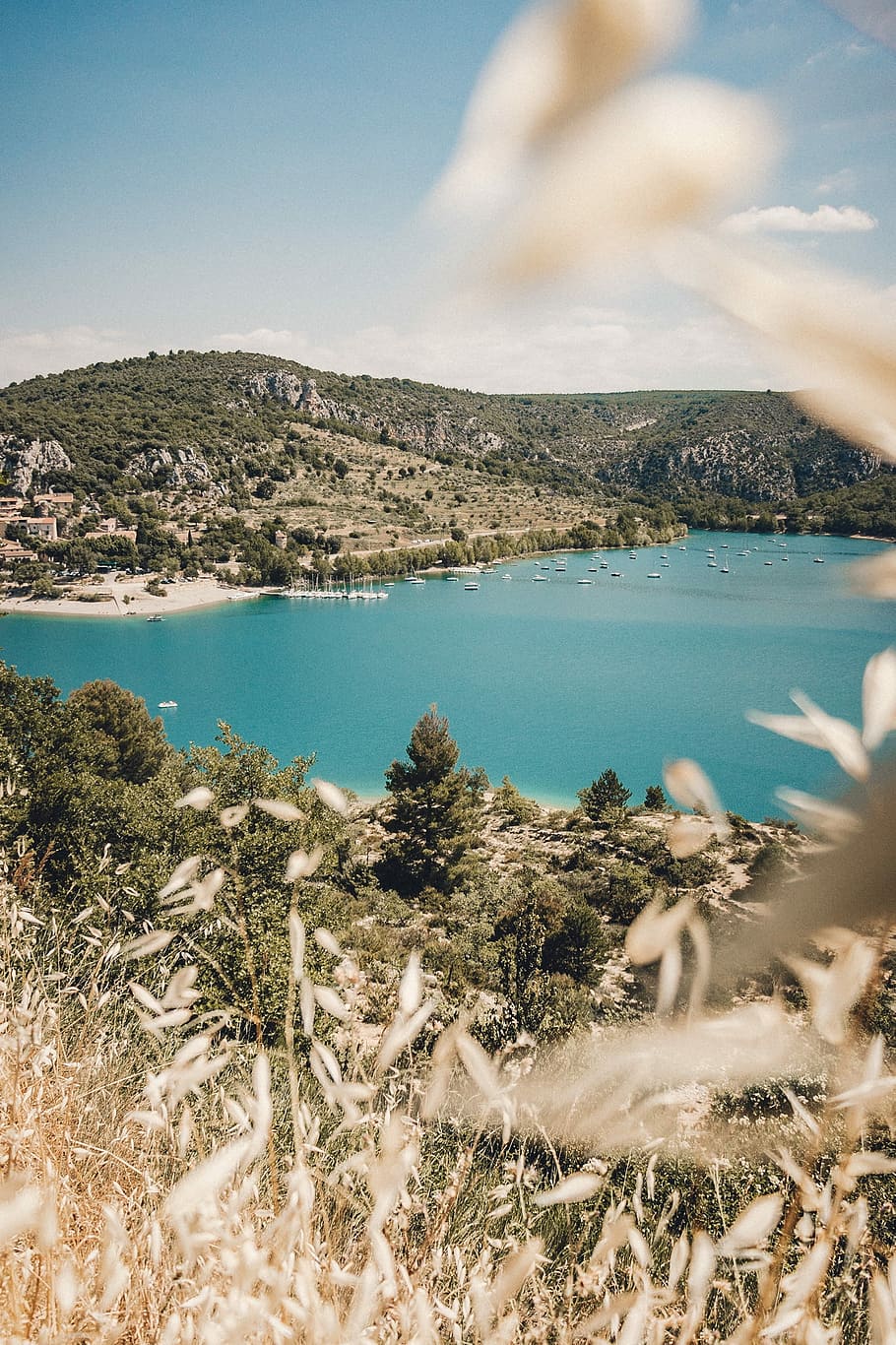 landscape photography of body of water surrounded by trees, body of water surrounded by mountains during daytime HD wallpaper