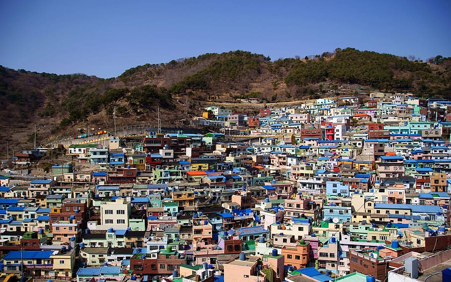 aerial view of houses, klitschko, whether or not, busan, architecture HD wallpaper