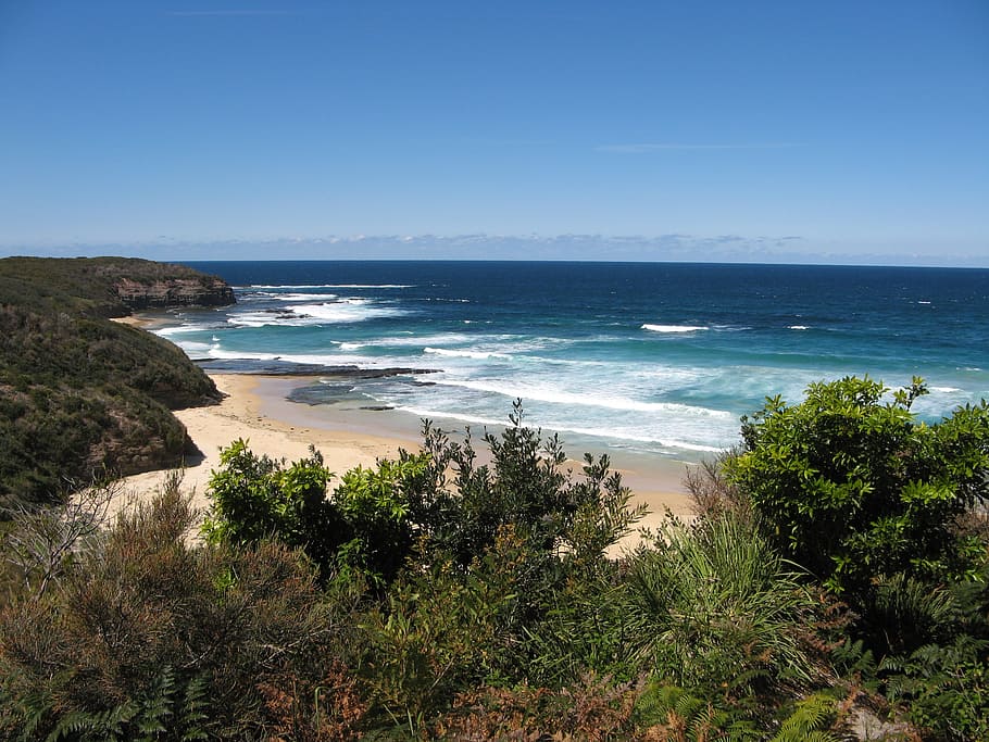 ocean near trees during daytime, beach, bushes, surf, waves HD wallpaper