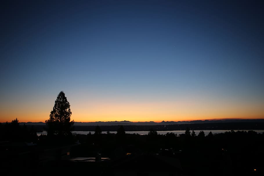 sunrise, tree, blue, yellow, sky, silhouette, scenics - nature HD wallpaper
