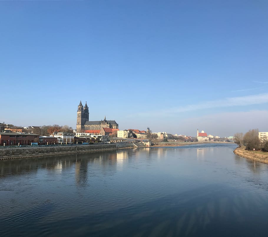 magdeburg, elbe, sch, river, nature conservation, high water HD wallpaper