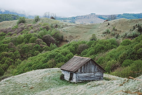 wooden house on top of the hill, brown and gray wooden house on hill HD wallpaper