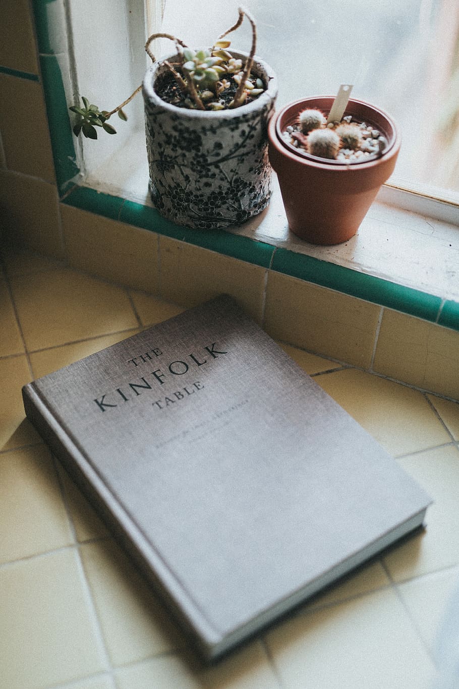 The Kinfolk Table near cactus plant, The Kinfolk Table book beside plant pots on brown surface, HD wallpaper