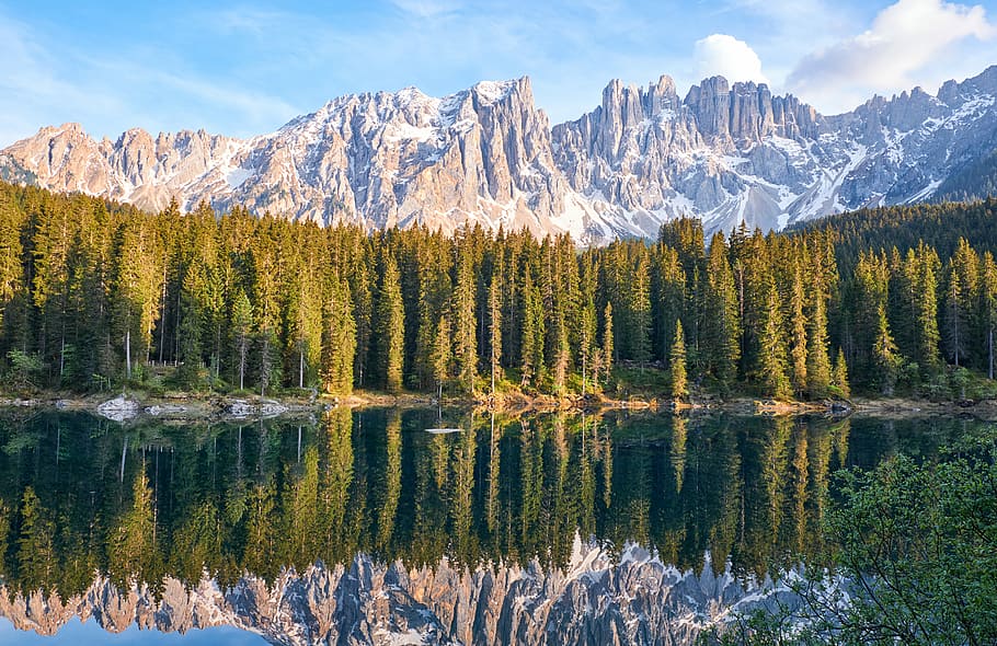 forest near body of water, Banff National Park, Canada, scene HD wallpaper