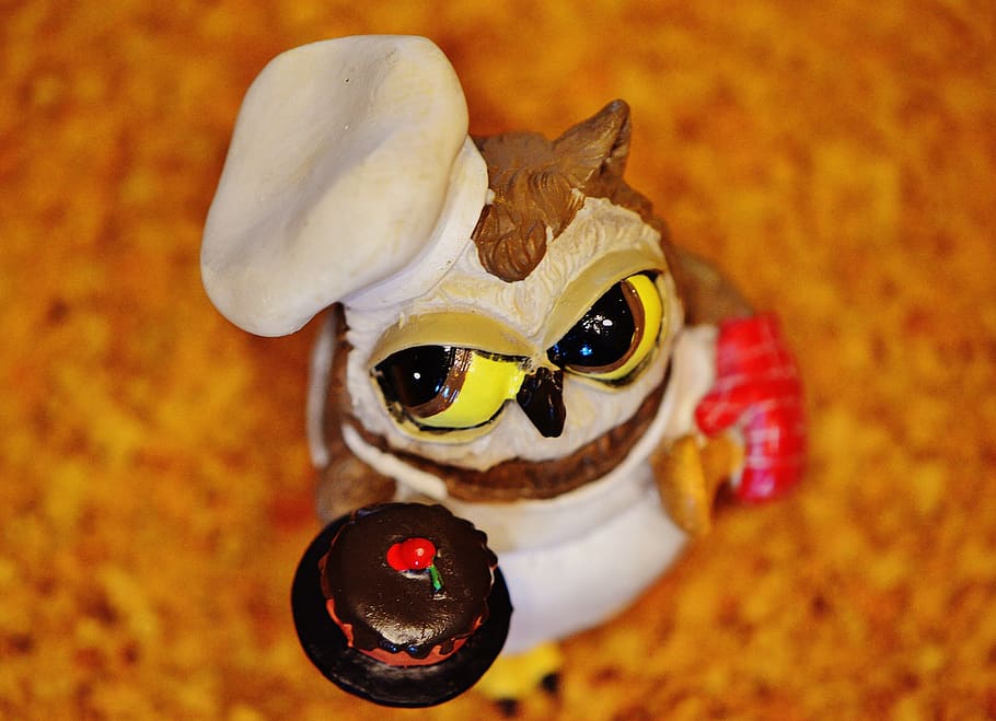 Owl, Bake, Baker, Cupcake, Cute, funny, sweet, baked, pastry art HD wallpaper