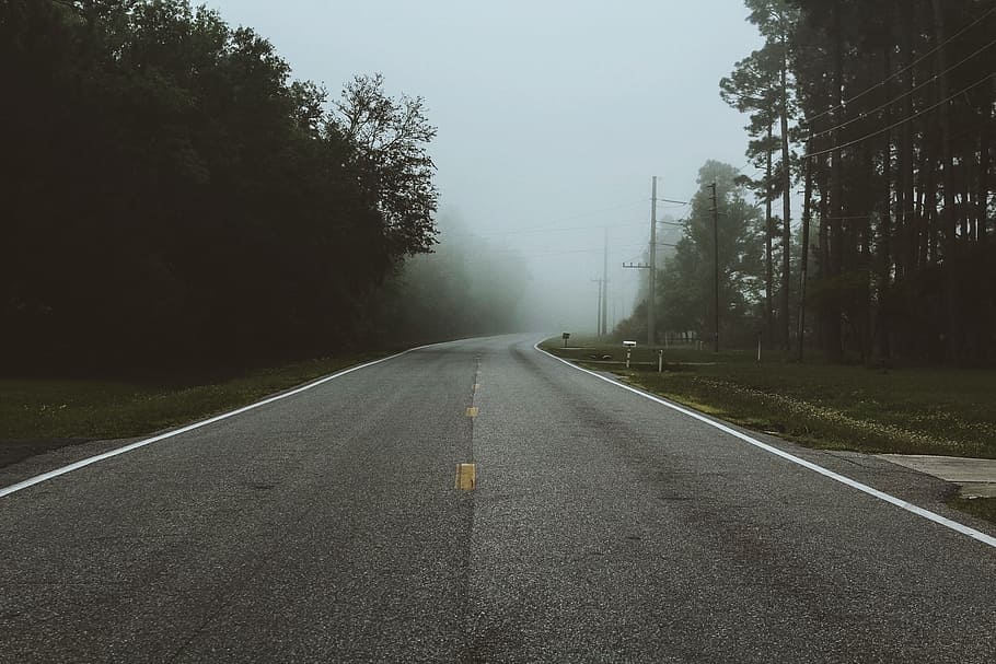 landscape photo of black concrete road between green leaf trees HD wallpaper