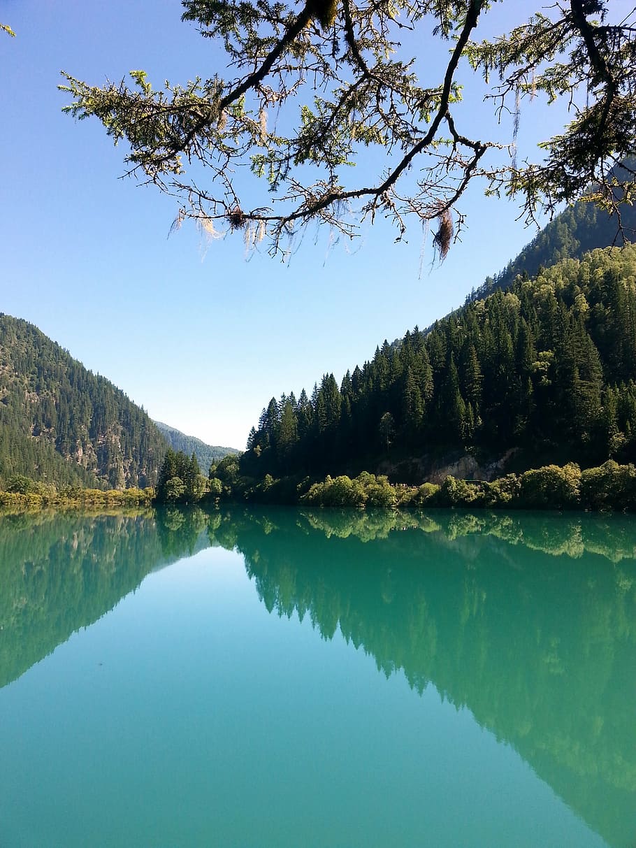 jiuzhaigou, mirror, serene, tree, water, tranquil scene, beauty in nature HD wallpaper
