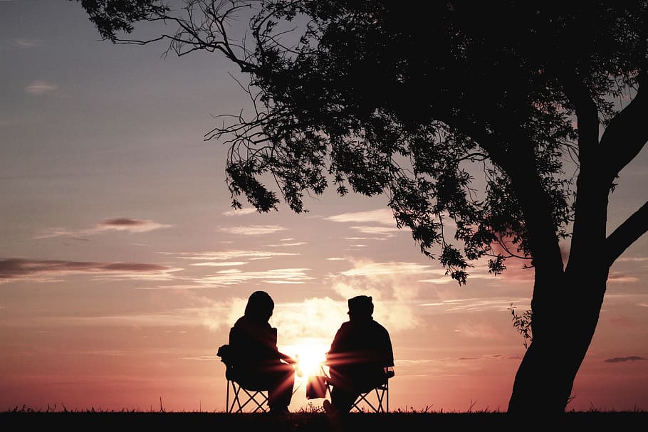 silhouette of two person sitting on chair near tree, painting of couple under leafed tree