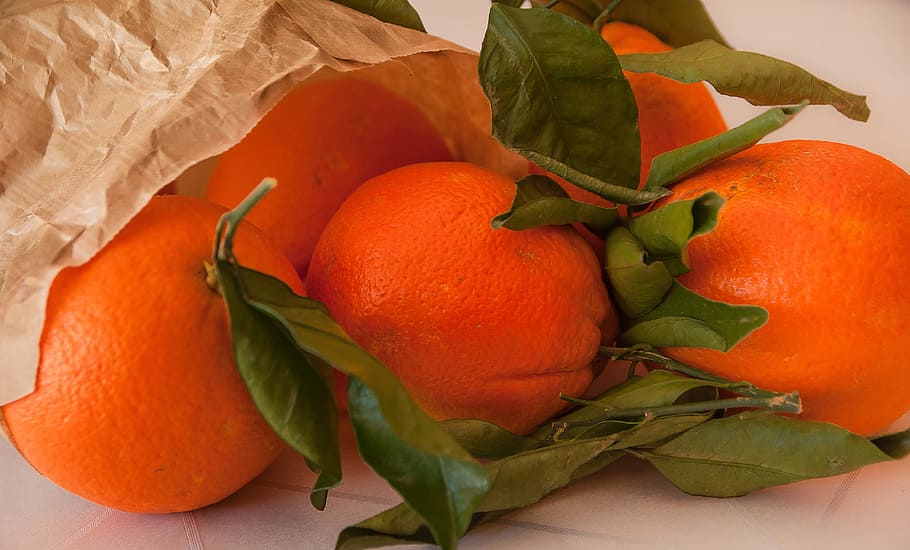 fruit, oranges, citrus, orange tree, healthy eating, food and drink HD wallpaper