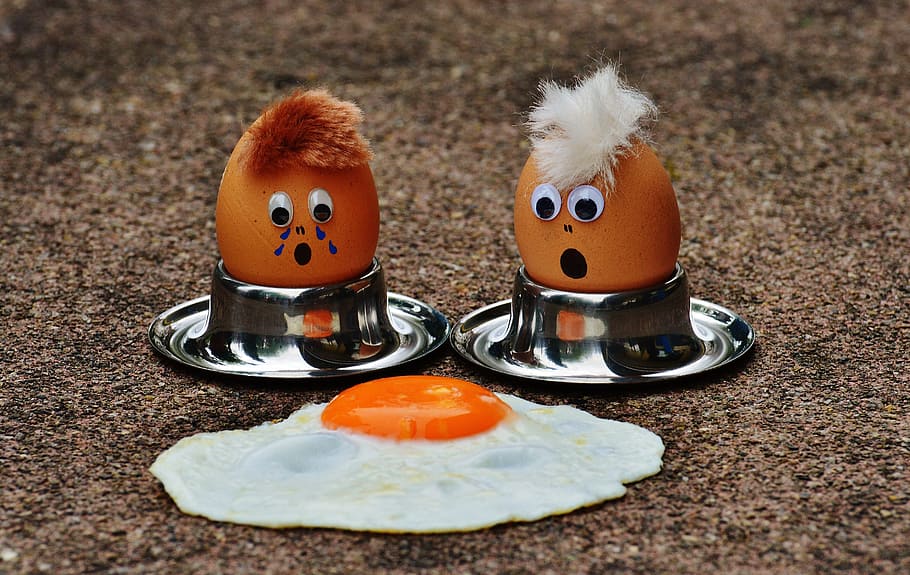 two brown poultry eggs on gray egg stand facing sunny side-up fried egg HD wallpaper