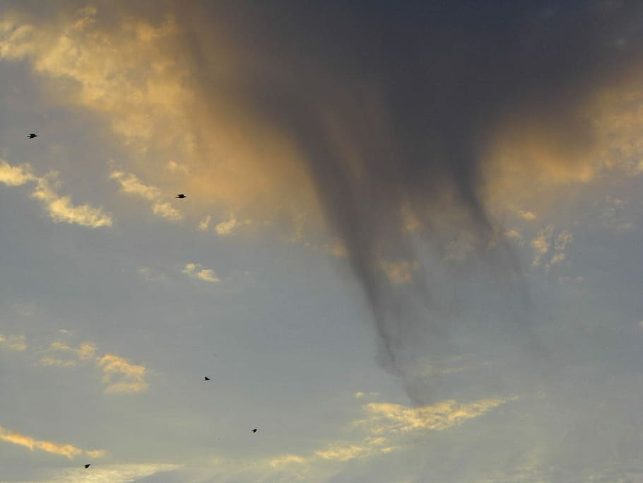 Cloud, Weather, Atmosphere, Weird, rain, flying, mid-air, bird HD wallpaper