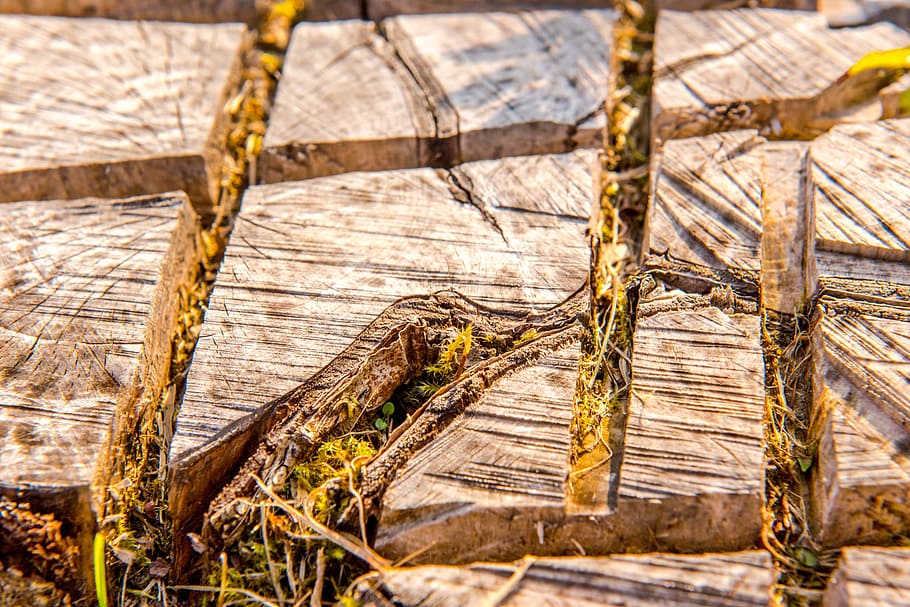 background, brown, district, section, detail, timber, nature HD wallpaper