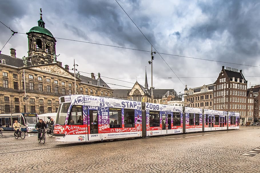 amsterdam, trafic, bus, traffic, netherlands, holland, city HD wallpaper