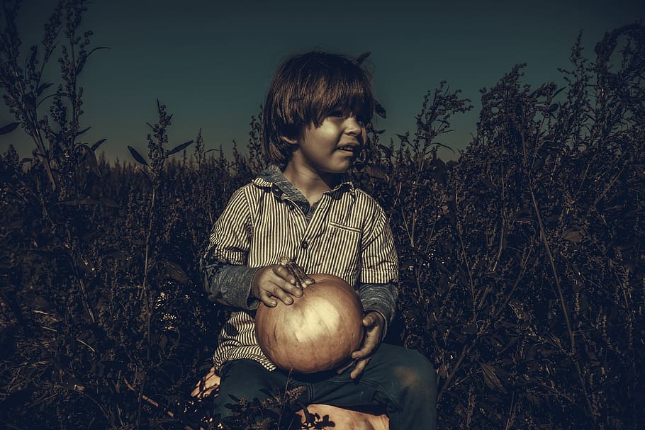 boy holding pumpkin, child, thanksgiving, happy, fun, kid, little, HD wallpaper