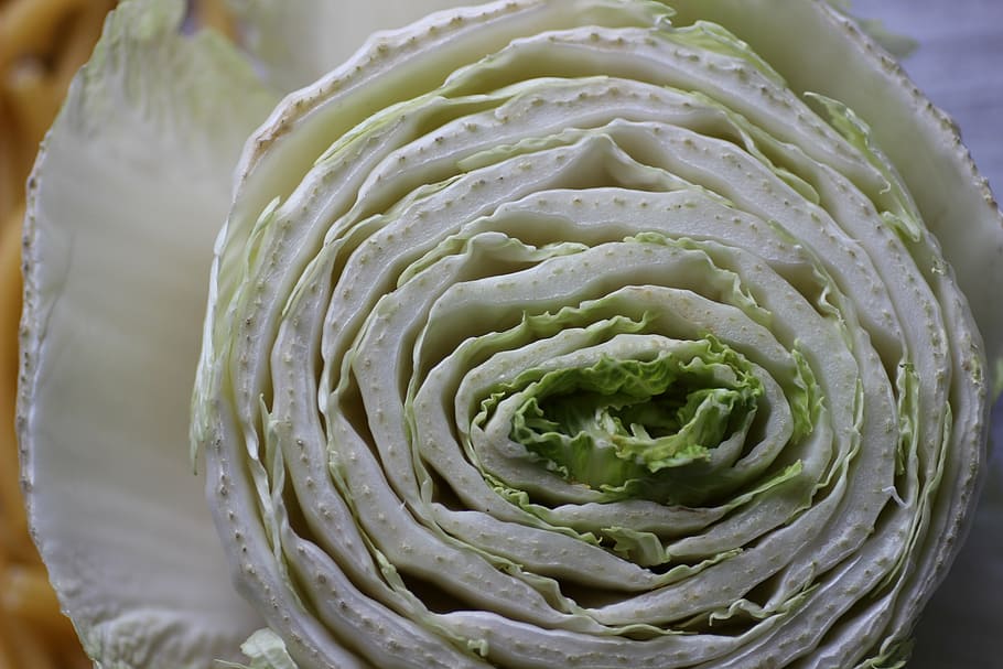chinese cabbage, cross section, winter vegetables, kohl, close HD wallpaper