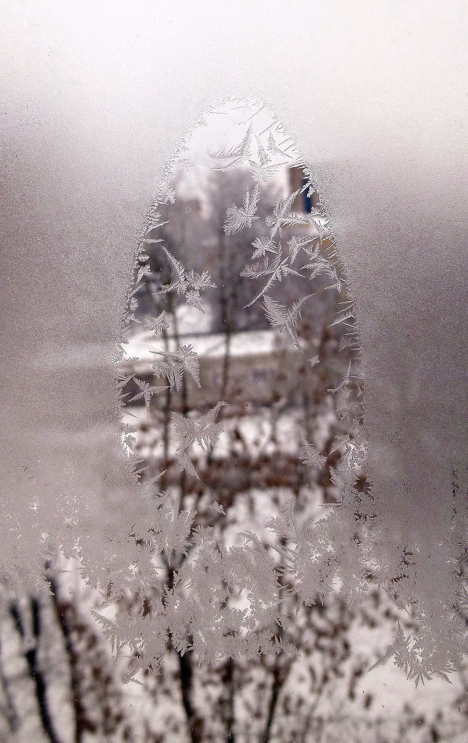 winter, frost, patterns, glass, leann, cold temperature, snow HD wallpaper