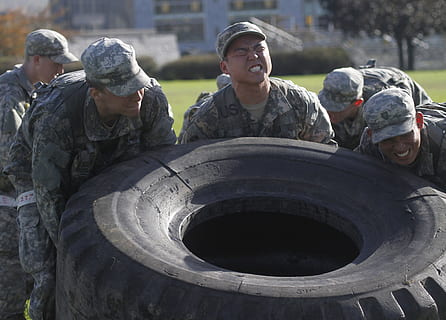 teamwork, training, exercise, cooperation, endurance, persistence HD wallpaper