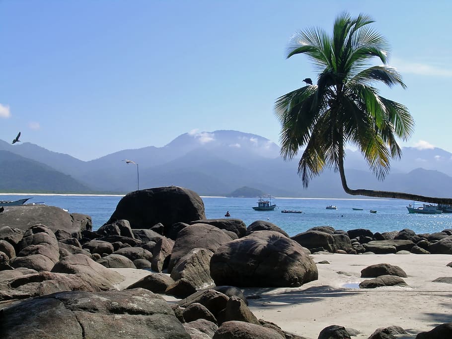beach under clear skies during daytime, tropics, tropical, exotic HD wallpaper