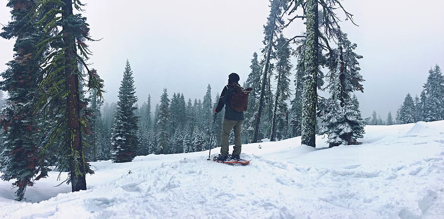 man riding on snowboard, man standing ski boards covered by snow HD wallpaper