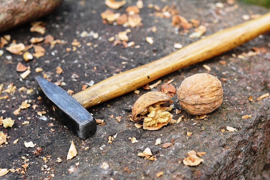 brown peening hammer beside walnut, nuts, smash, shell, shelling, HD wallpaper