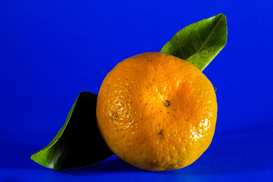 orange fruit, mandarin, citrus fruit, healthy eating, food and drink HD wallpaper