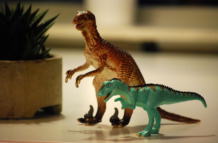 shallow focus photography of two dinosaur toys, t-rex, animal, HD wallpaper
