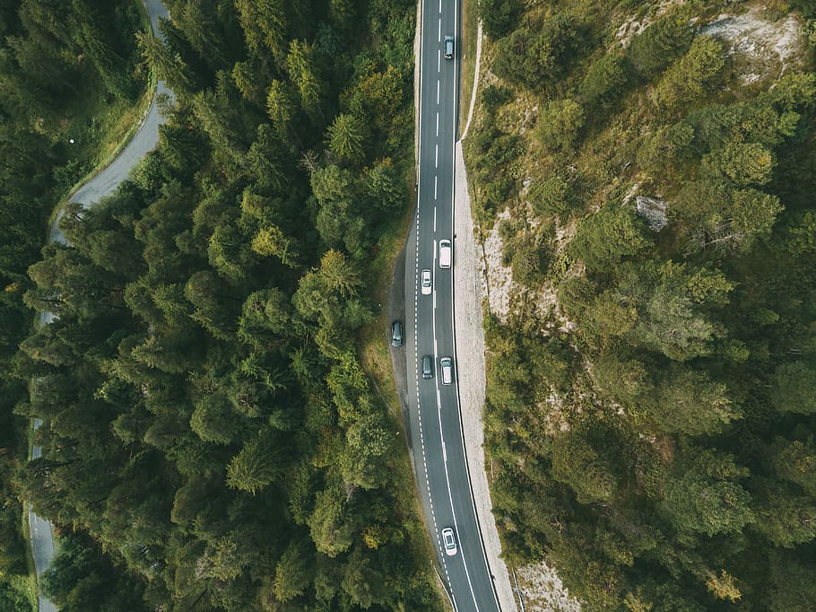 aerial photography of vehicle passing by highway between green trees, birds eye view of cars on road between trees HD wallpaper