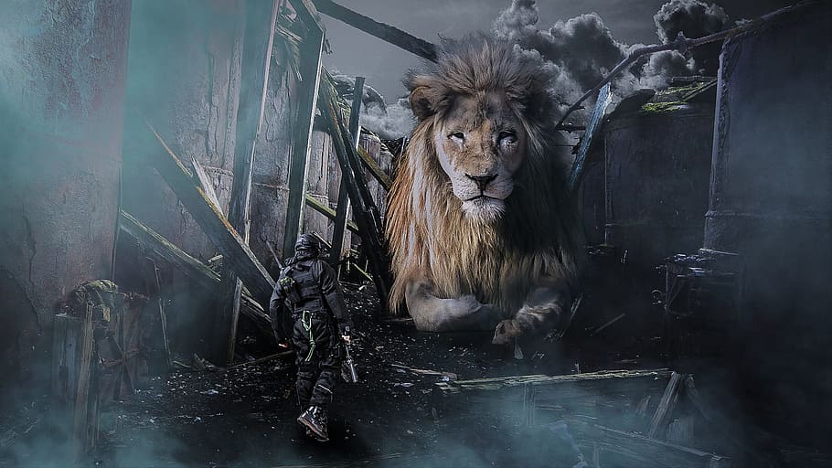 al, soldier, war, drill, art, army, animal themes, one animal HD wallpaper