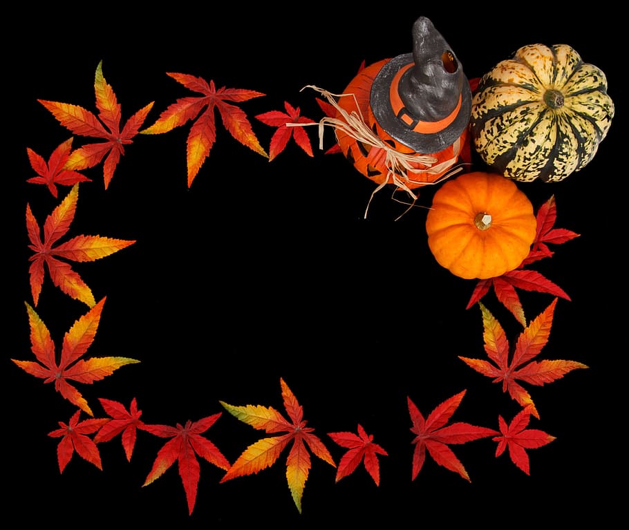 pumpkins on floor, Background, Dark, Frame, autumn, color, decoration HD wallpaper