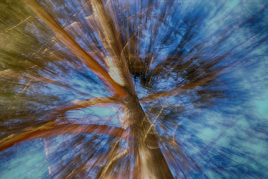 nature, pattern, abstract, wood, sky, full frame, no people HD wallpaper