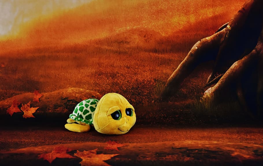 Turtle, Glitter, Eyes, Forest, Soft Toy, glitter eyes, funny HD wallpaper