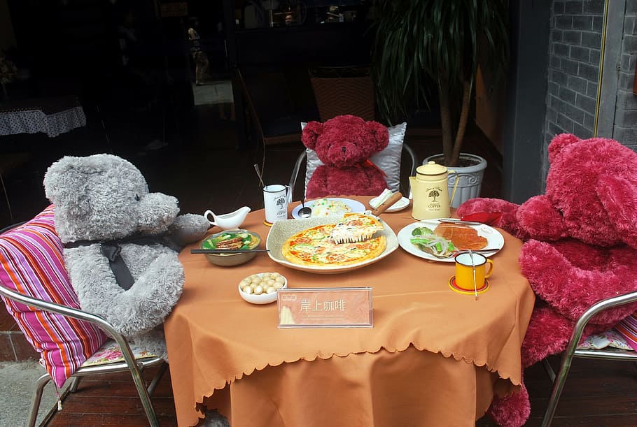Bear, Stuffed, Animal, Dinning, teddy, restaurant, food and drink HD wallpaper