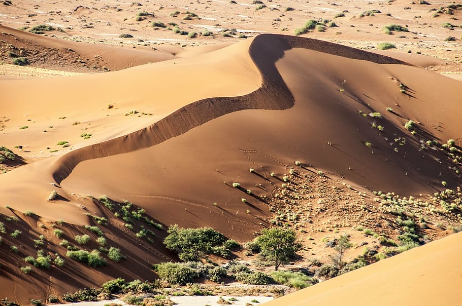 namibia, wolwedans, namib edge, desert, away, sand, nature, HD wallpaper