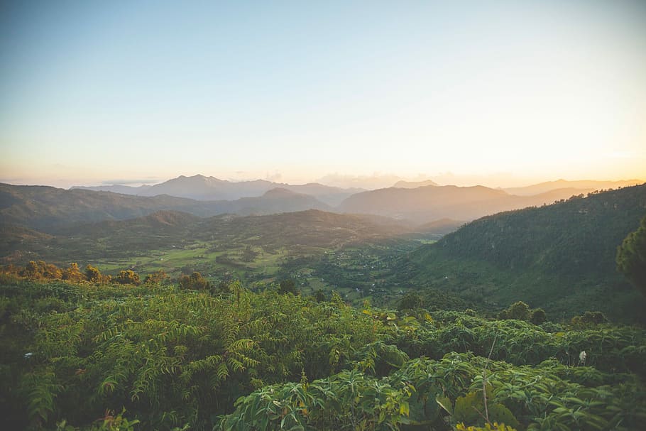 topview of jungle during sunrise, nature, mountain, landscape HD wallpaper