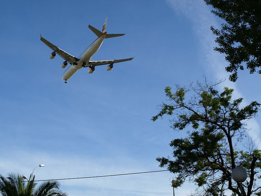 aircraft, sky, plane, airplane, transportation, commercial Airplane HD wallpaper