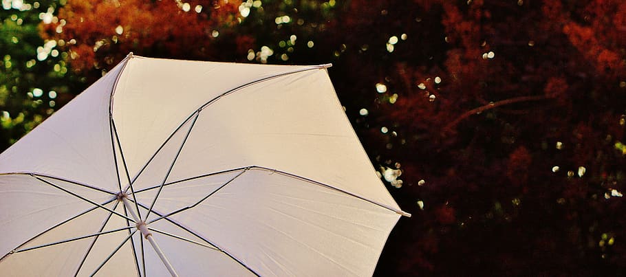 parasol, screen, sun, sunlight, protection, shade tree, sun protection, HD wallpaper