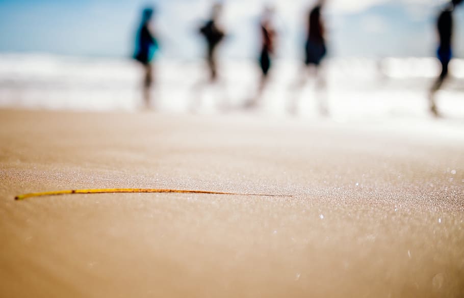 People Standing on Brown San, beach, coast, coastline, macro HD wallpaper