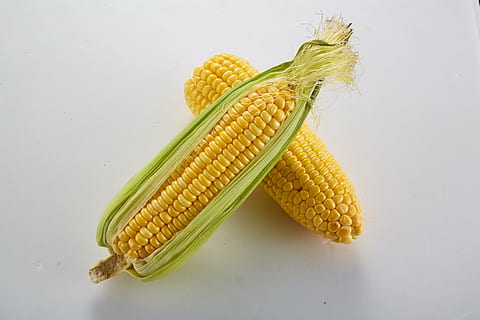 whole grains, corn, vegetable, food, food and drink, healthy eating HD wallpaper
