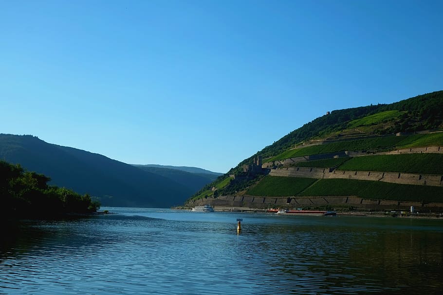 rhine valley, river, viewpoint, outlook, landscape, nature HD wallpaper