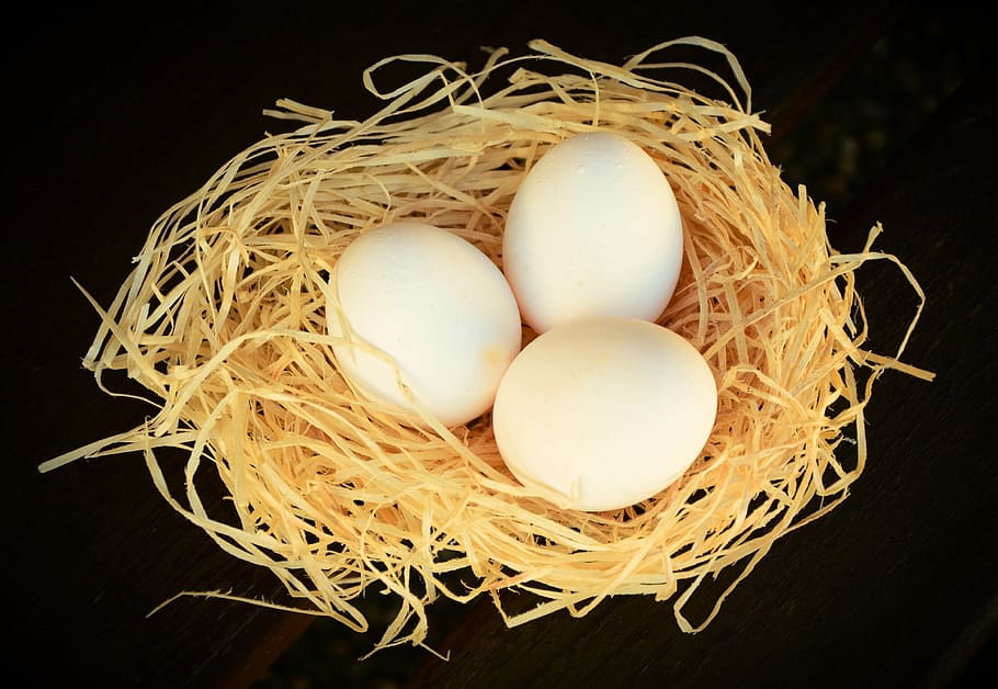 three white eggs on nest against black background, nutrition