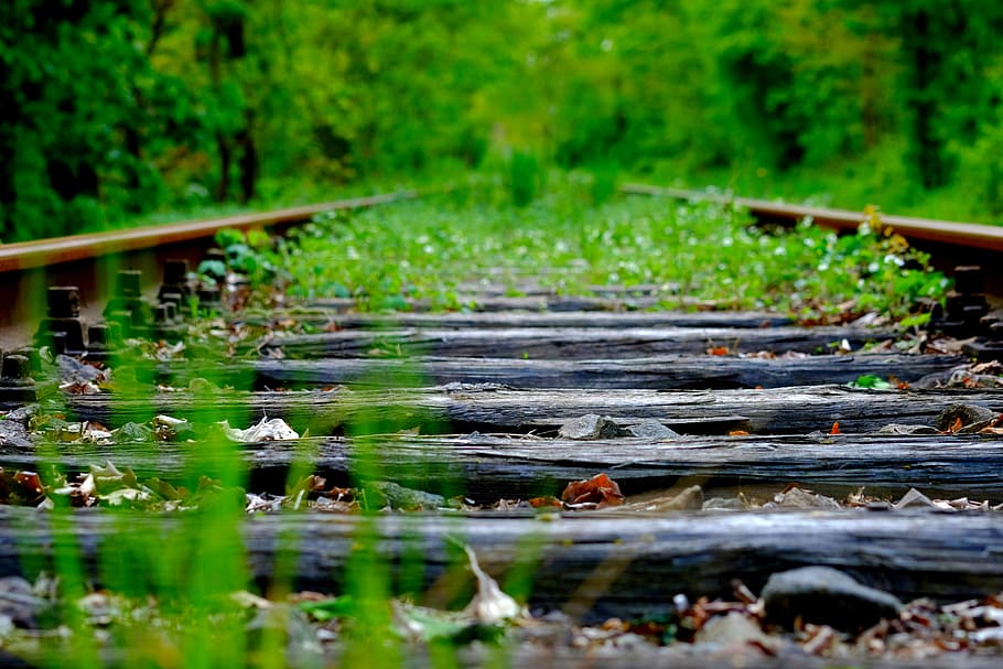 closed up photo of brown and black train railway, nature, plant HD wallpaper
