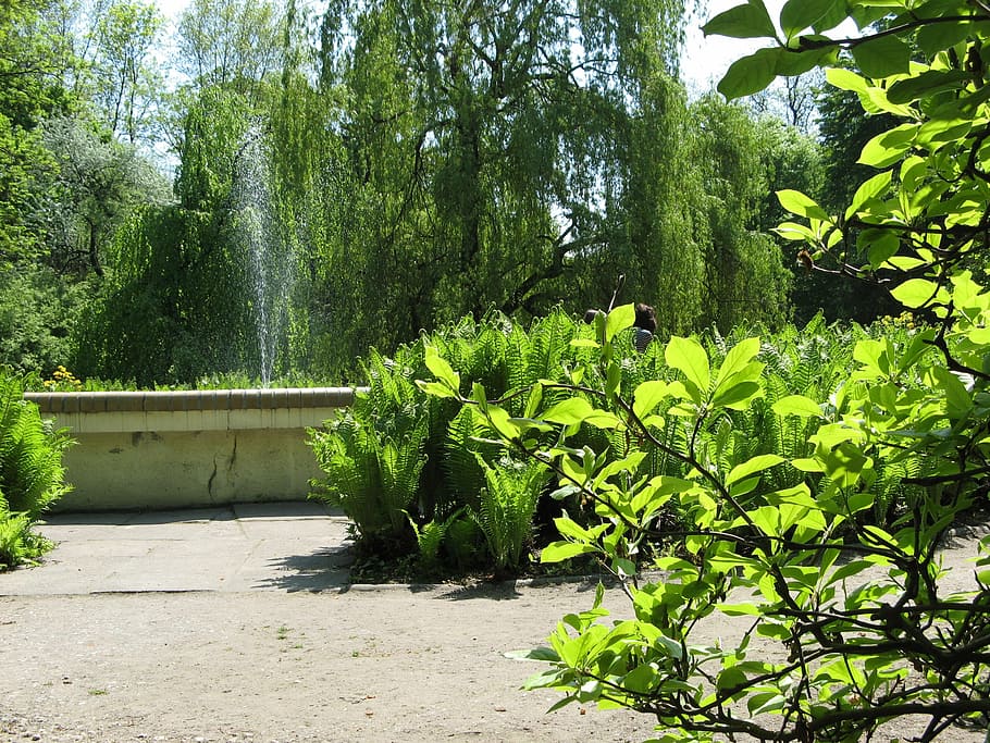 park, landscape, tree, nature, green, at the court of, fountain HD wallpaper