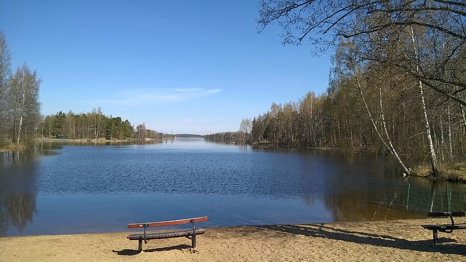 bench, lake, spring, sky, water, tree, plant, tranquility, tranquil scene HD wallpaper