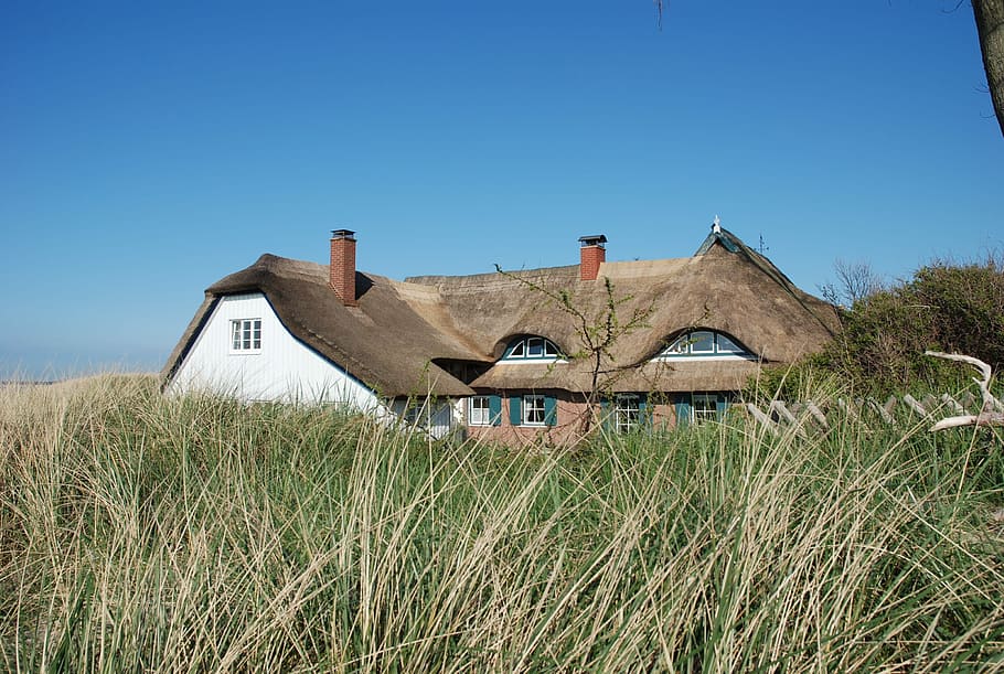 Ahrenshoop, Darss, Reed, Thatched Roof, fischland, baltic sea, HD wallpaper